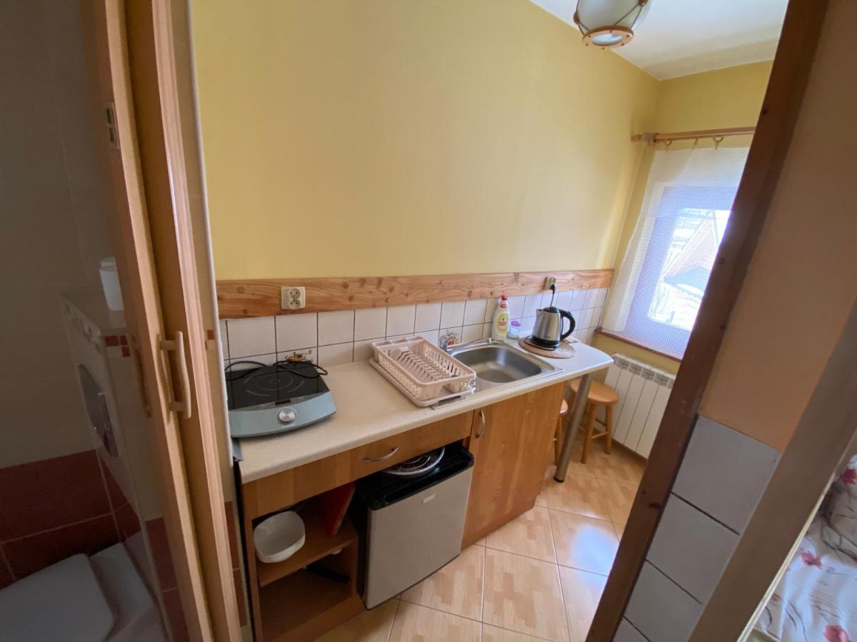 Apartamenty Pokoje Nad Potokiem ザコパネ エクステリア 写真